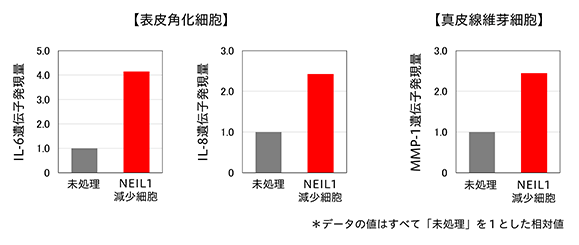 IL-6、IL-8、MMP-1の発現量のグラフ