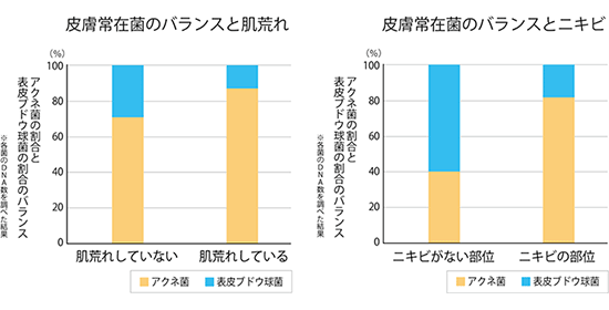 皮膚常在菌のバランス