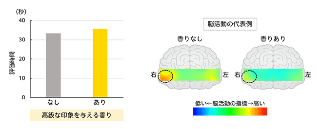 高級感のある香りを嗅いだときの脳活動
