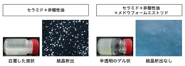 油性製剤へのセラミドの安定配合