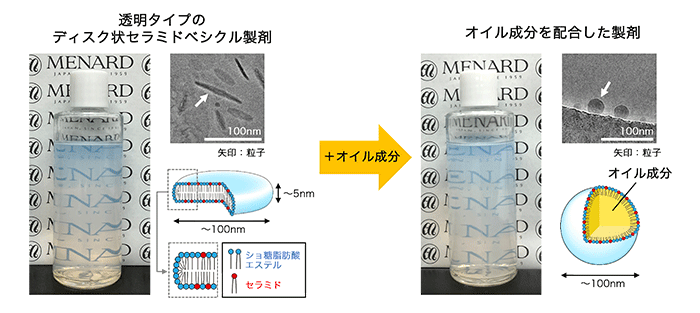 オイル成分を配合した透明セラミド製剤